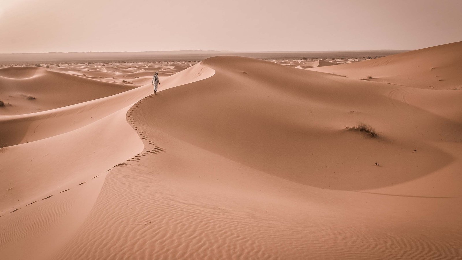 FOTO PLANETADOC DESERTO
