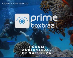 canal2