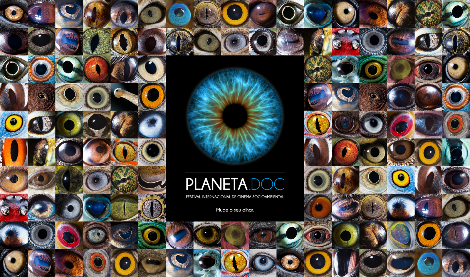 Cartaz_olhos_web(1)